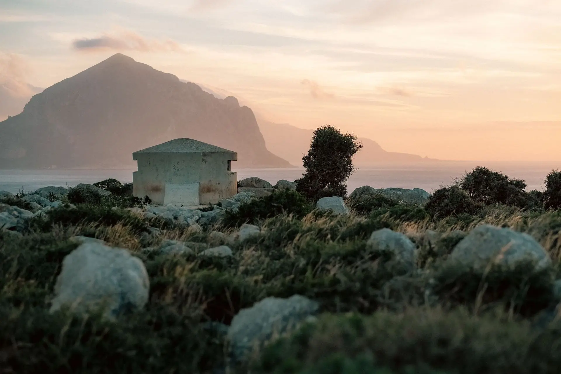 Fot. Aleksandra Bień