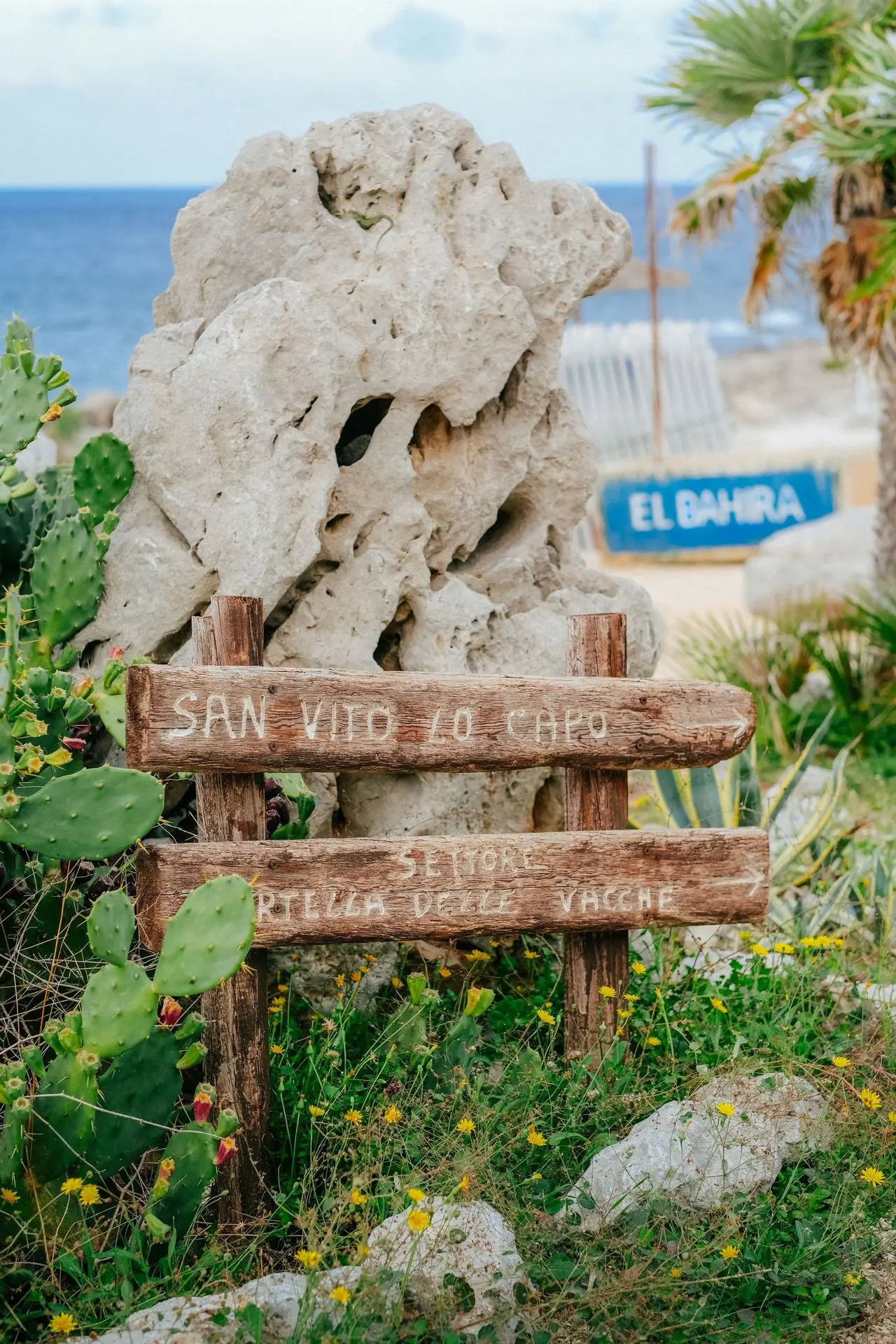 Fot. Aleksandra Bień